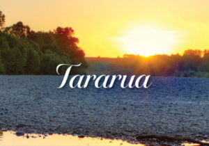 Tararua Area